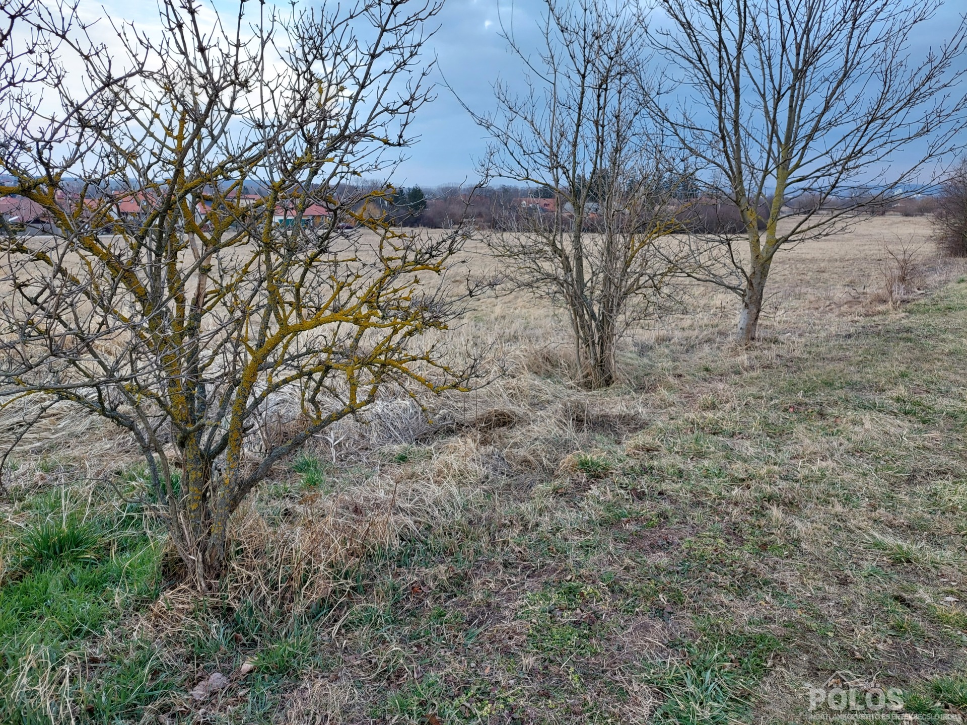 Harkán csodálatos környezetben külterületi ingatlan eladó