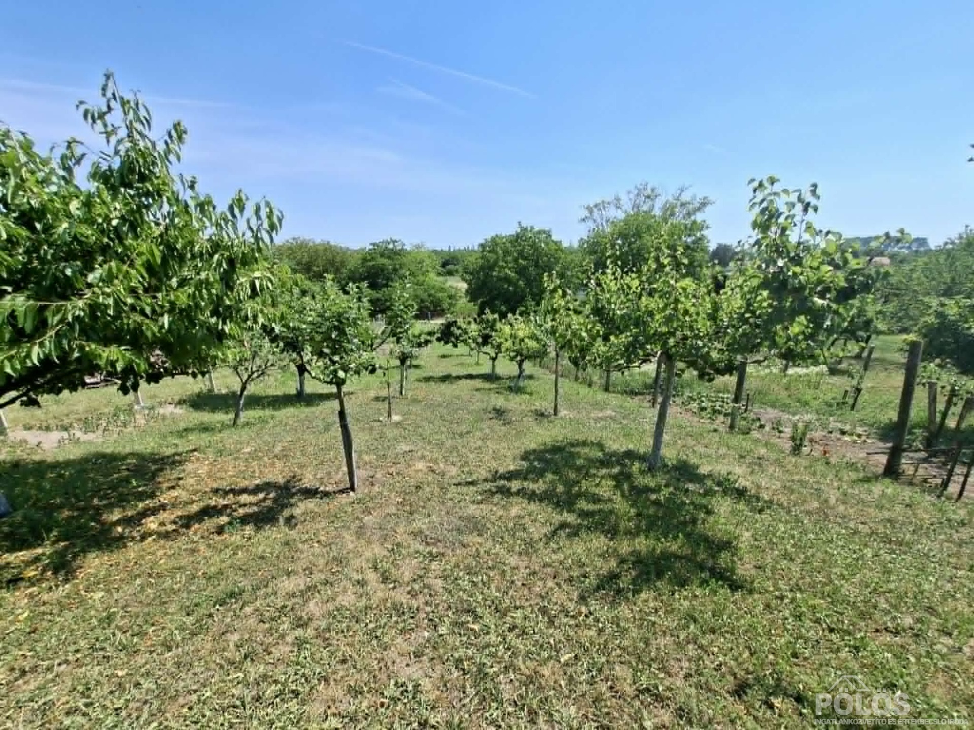Fertőrákoson központi helyen sok lehetőséget rejtő ingatlan eladó