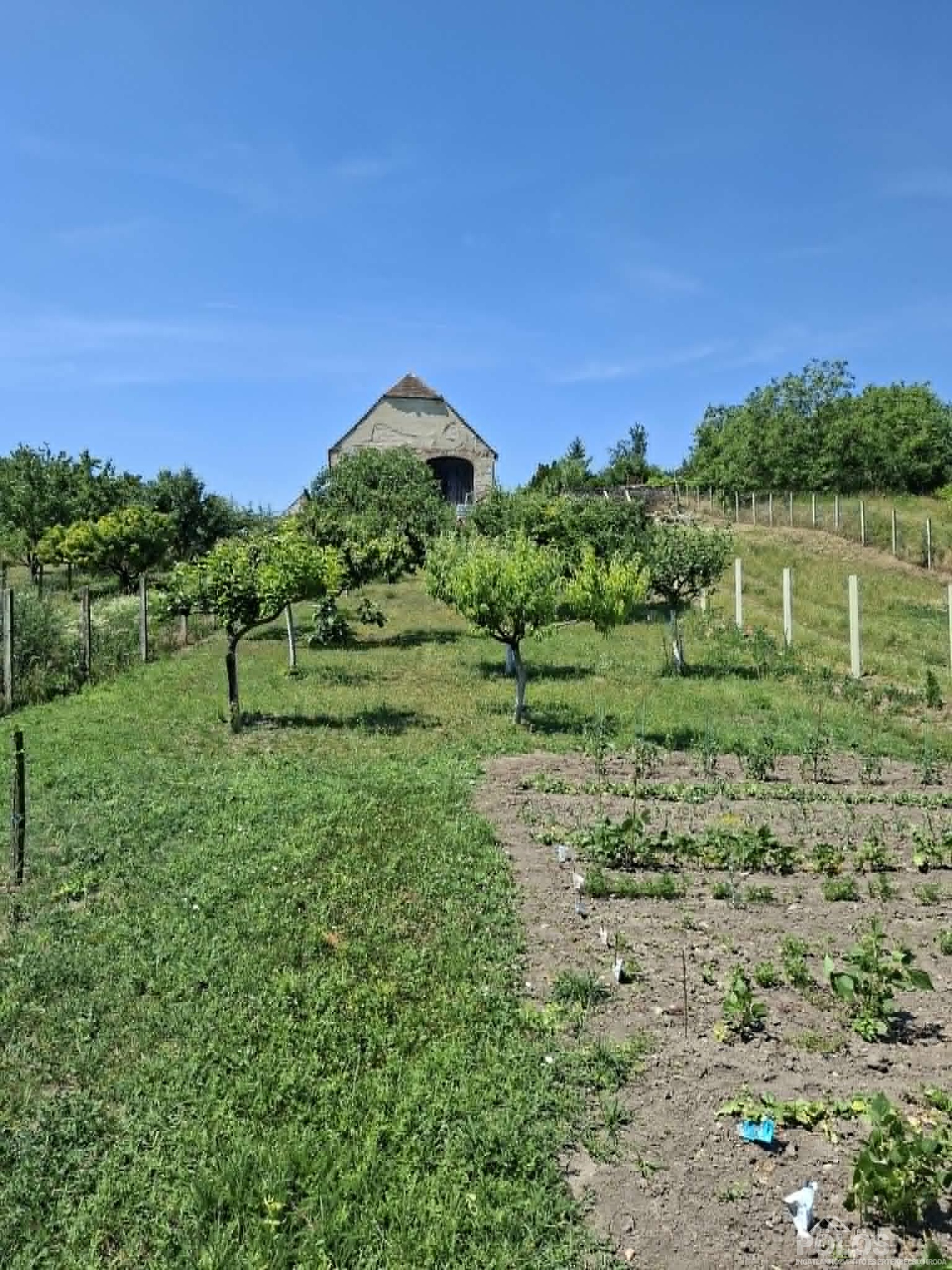Fertőrákoson központi helyen sok lehetőséget rejtő ingatlan eladó