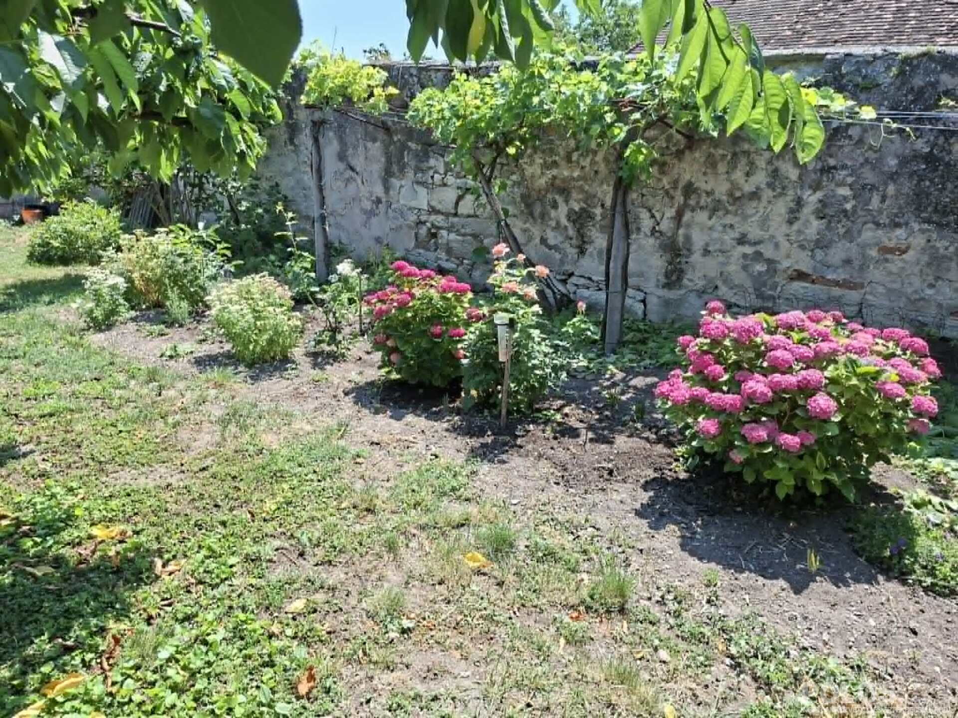 Fertőrákoson központi helyen sok lehetőséget rejtő ingatlan eladó