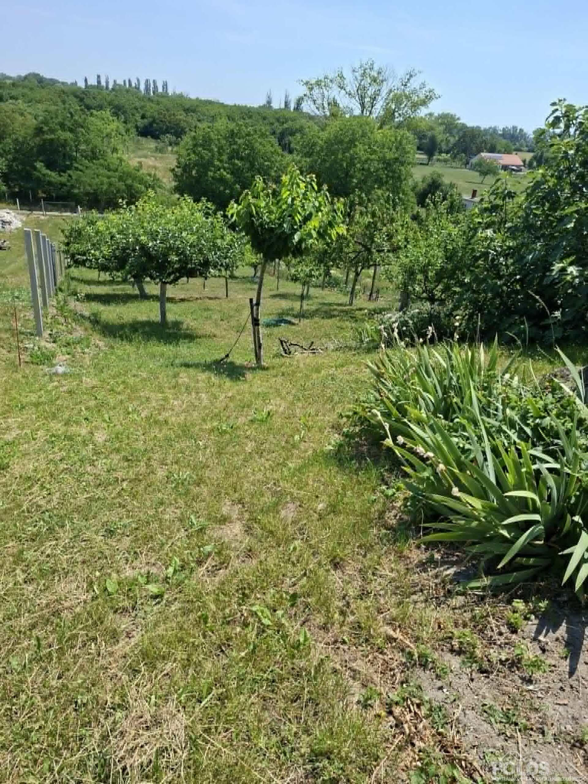 Fertőrákoson központi helyen sok lehetőséget rejtő ingatlan eladó