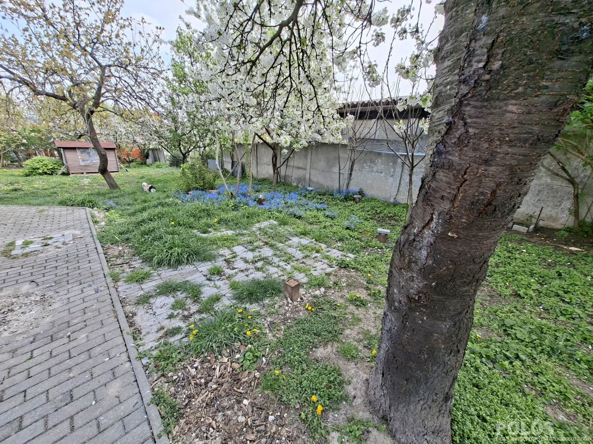Sopronban Lővérek szélén 2 lakrészből álló ház 570 m2-es telken eladó